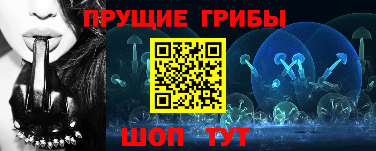 Галлюциногенные грибы Psilocybine cubensis Миасс